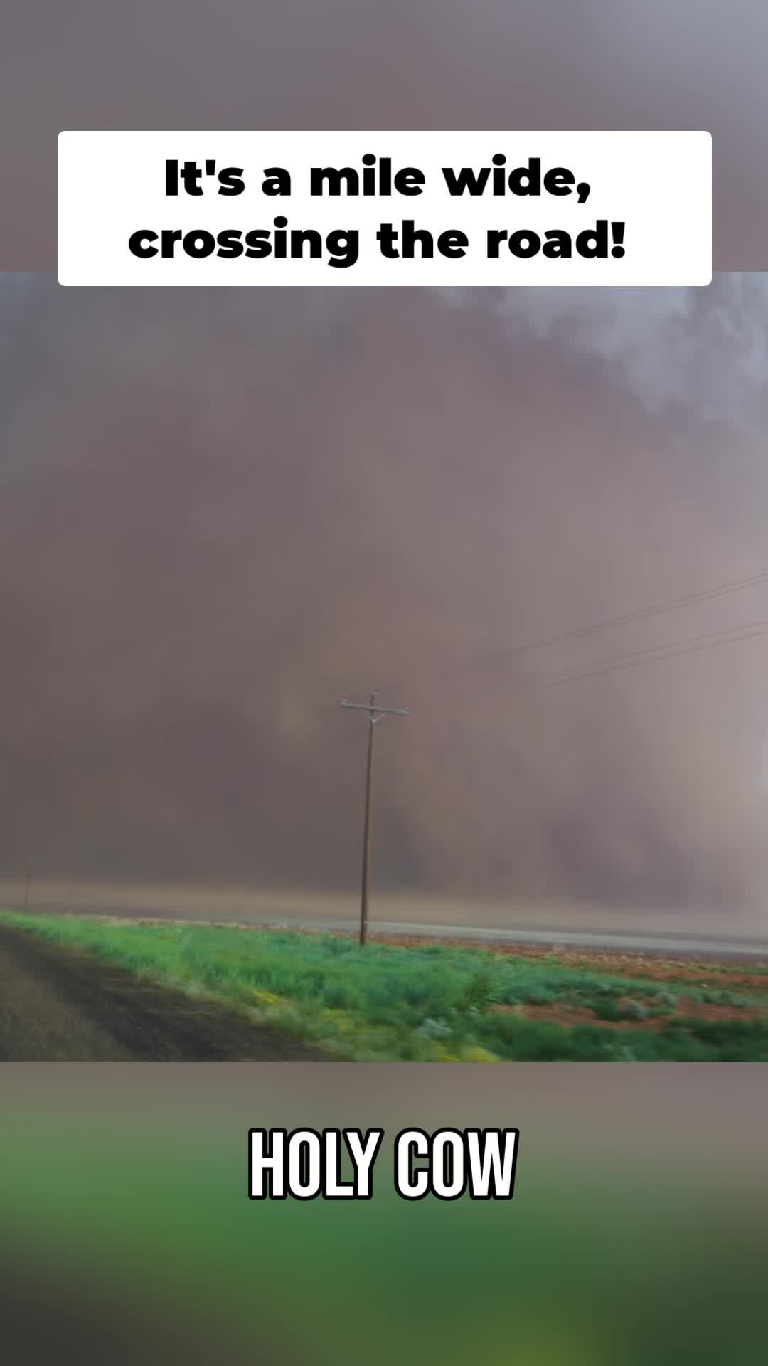 @🌪️ tornado season 🌪️