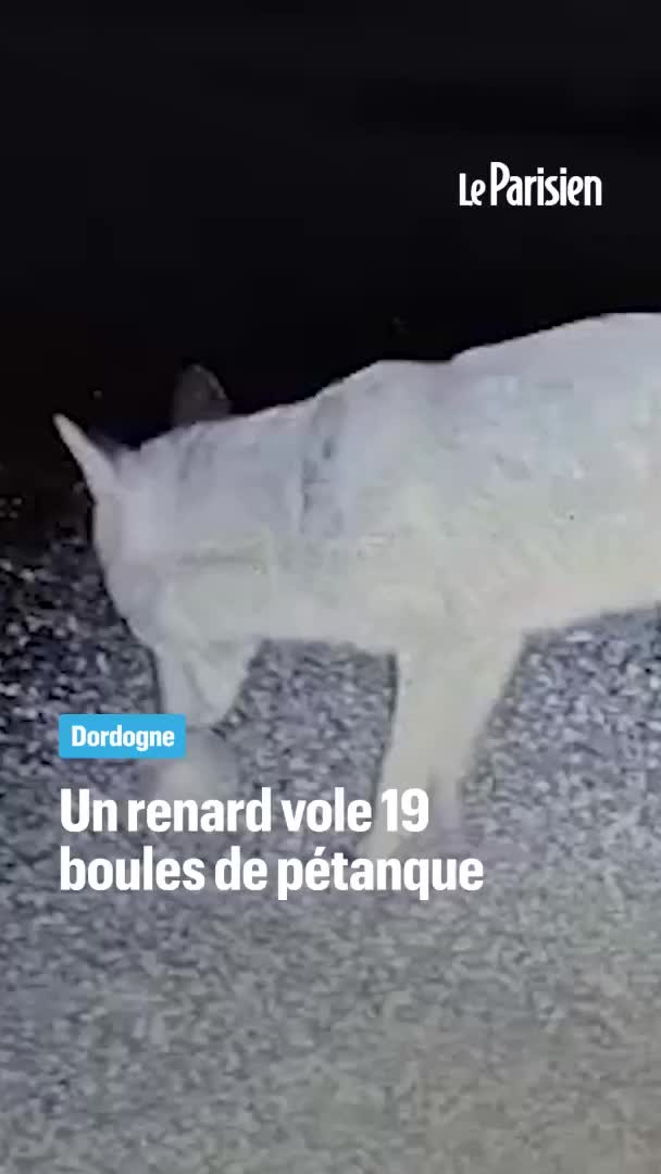 @Le Parisien