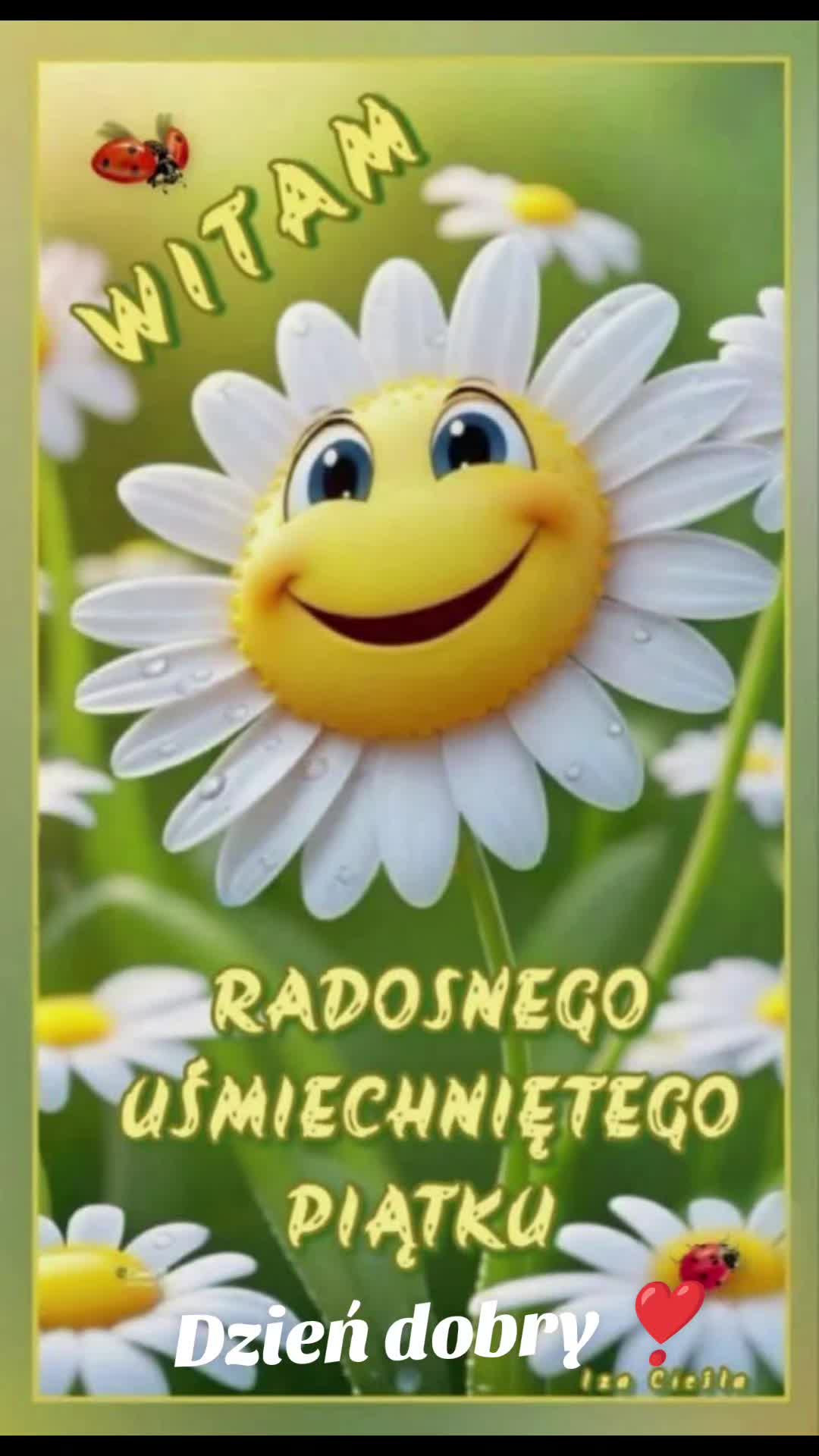 @✨Renireni✨