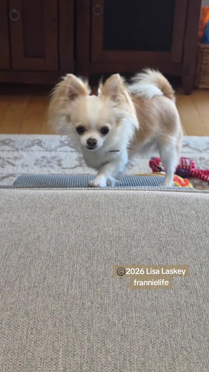 @Frannielife