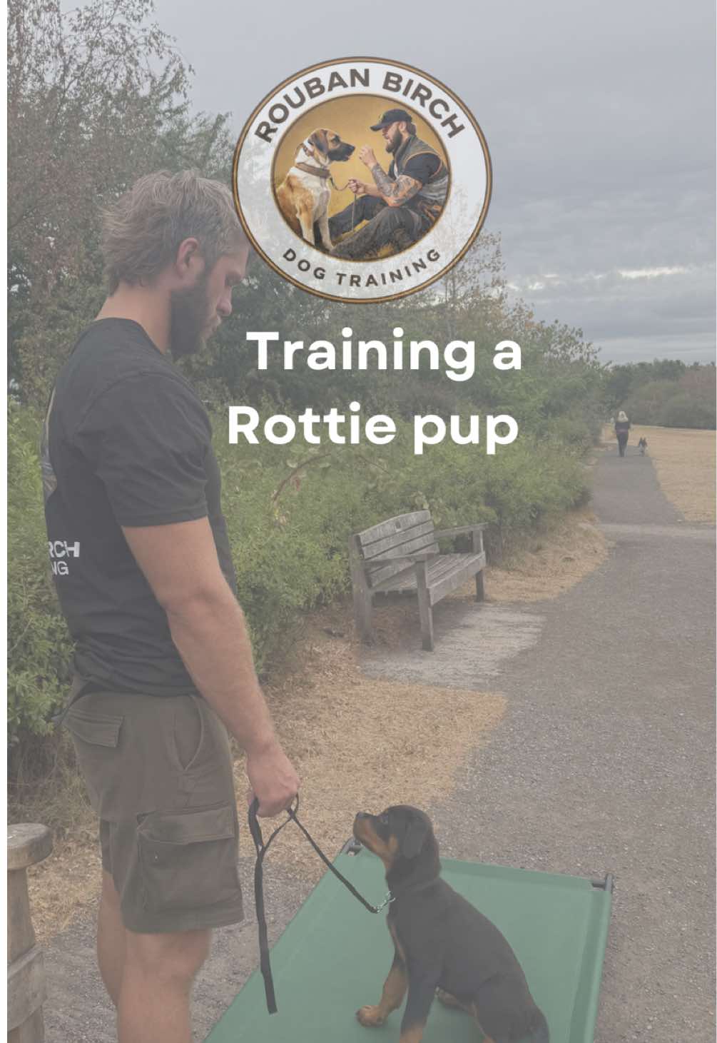 @rbdogtraining
