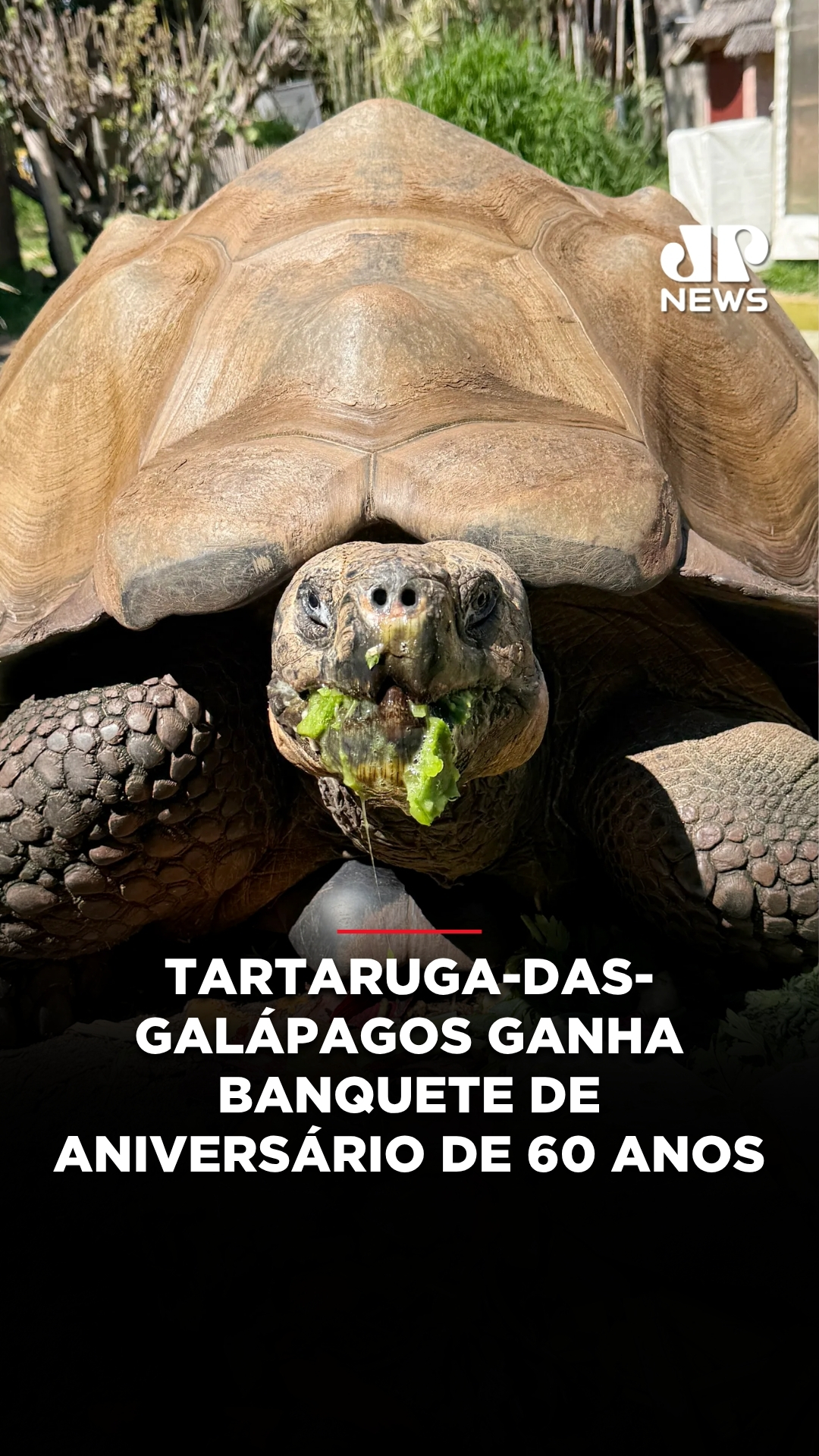 @Jovem Pan News