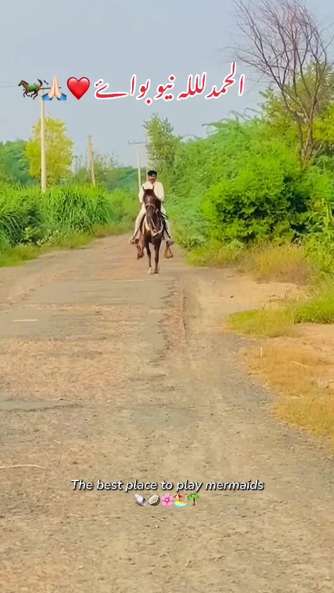 @رانا وقار اشرف 🐎