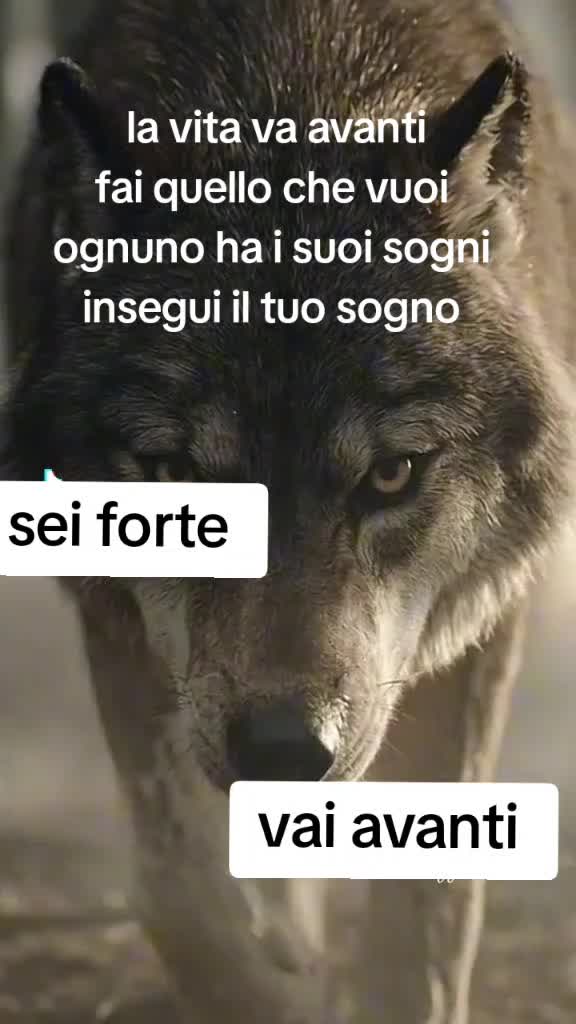 @Marco Fattorini Night's Hawk