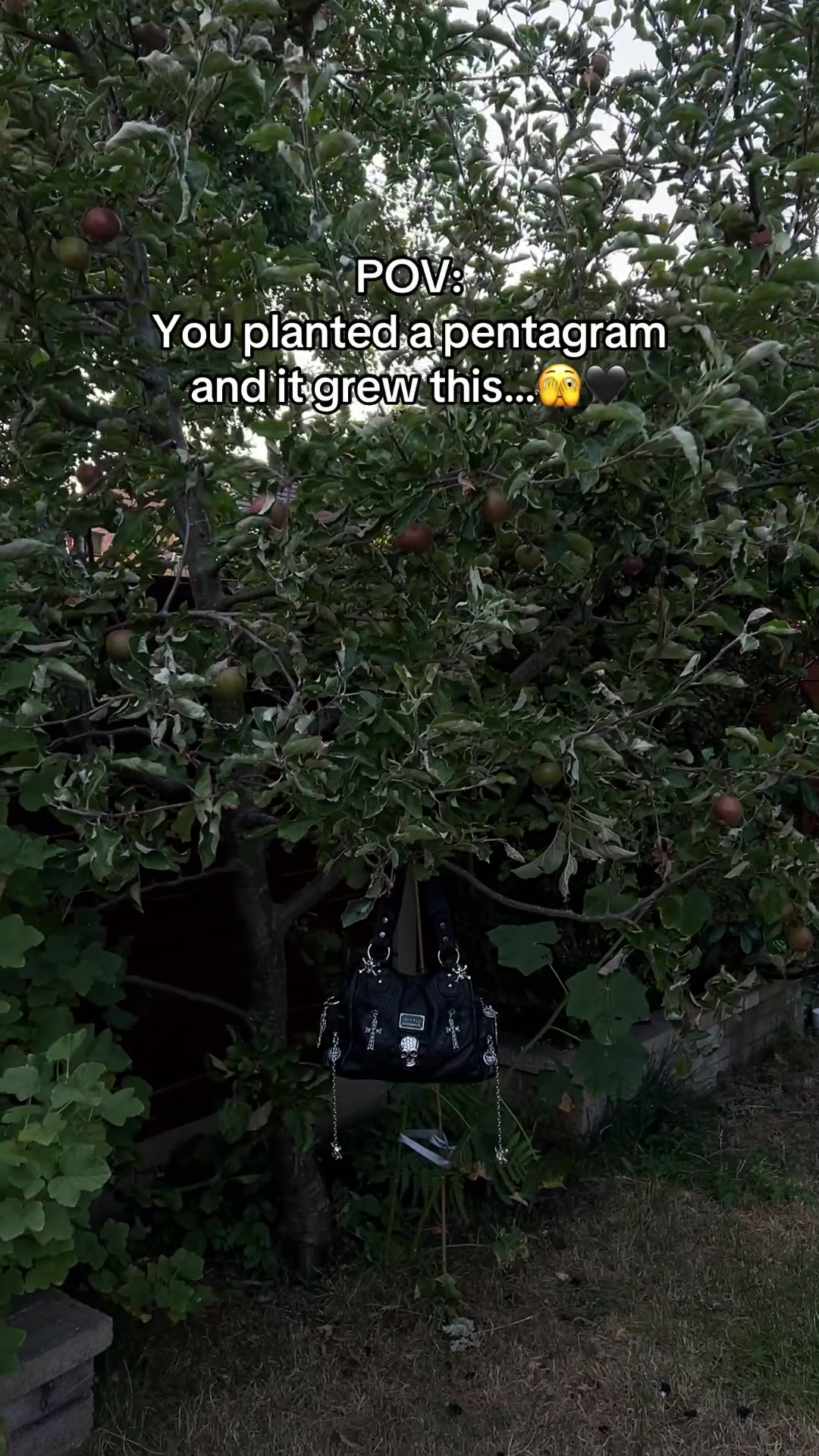 @GraveBorne™