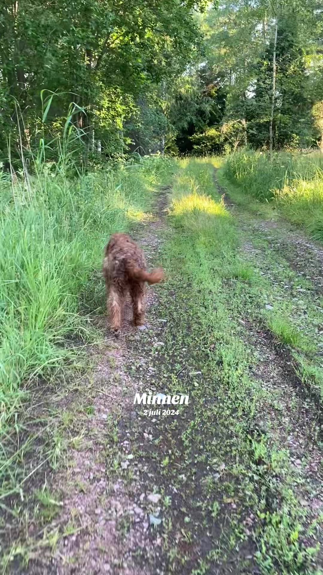 @Kickie🇦🇽🇫🇮