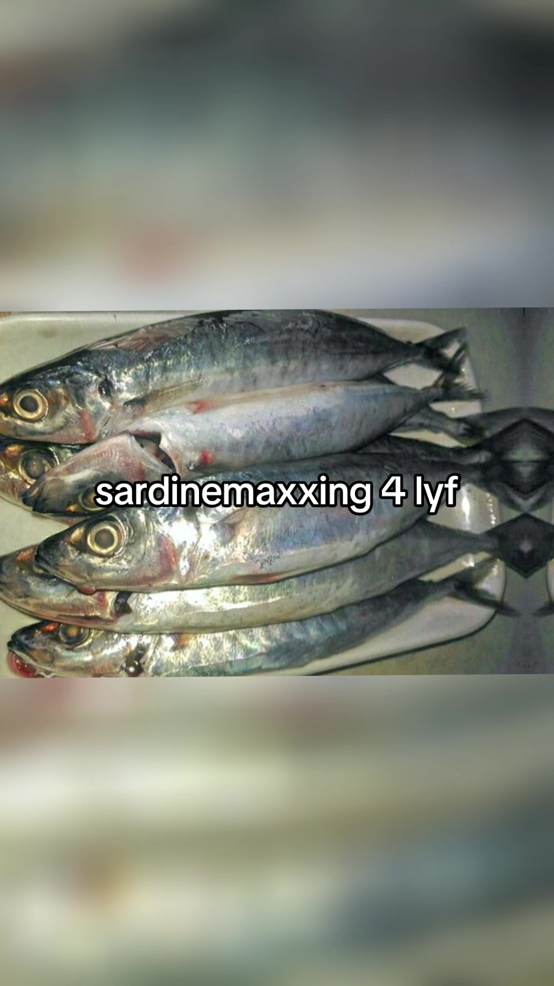 @sardines1.04654
