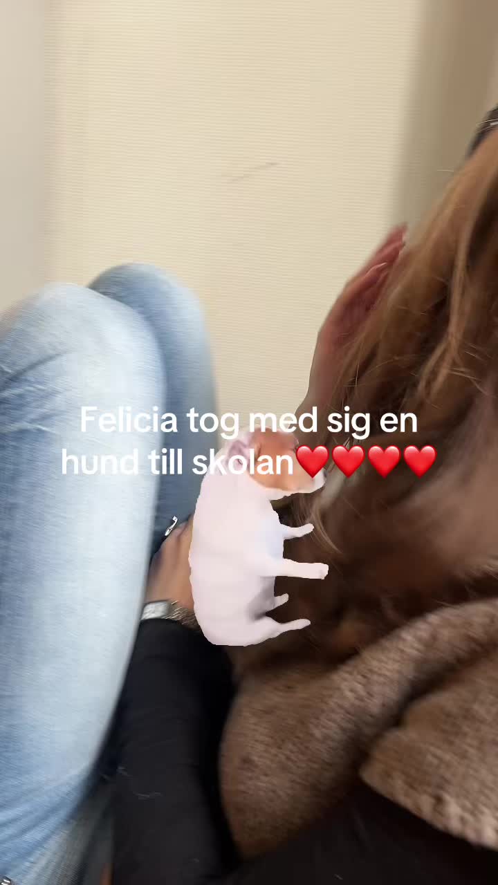 @Liviaspam🦄🦄🦄