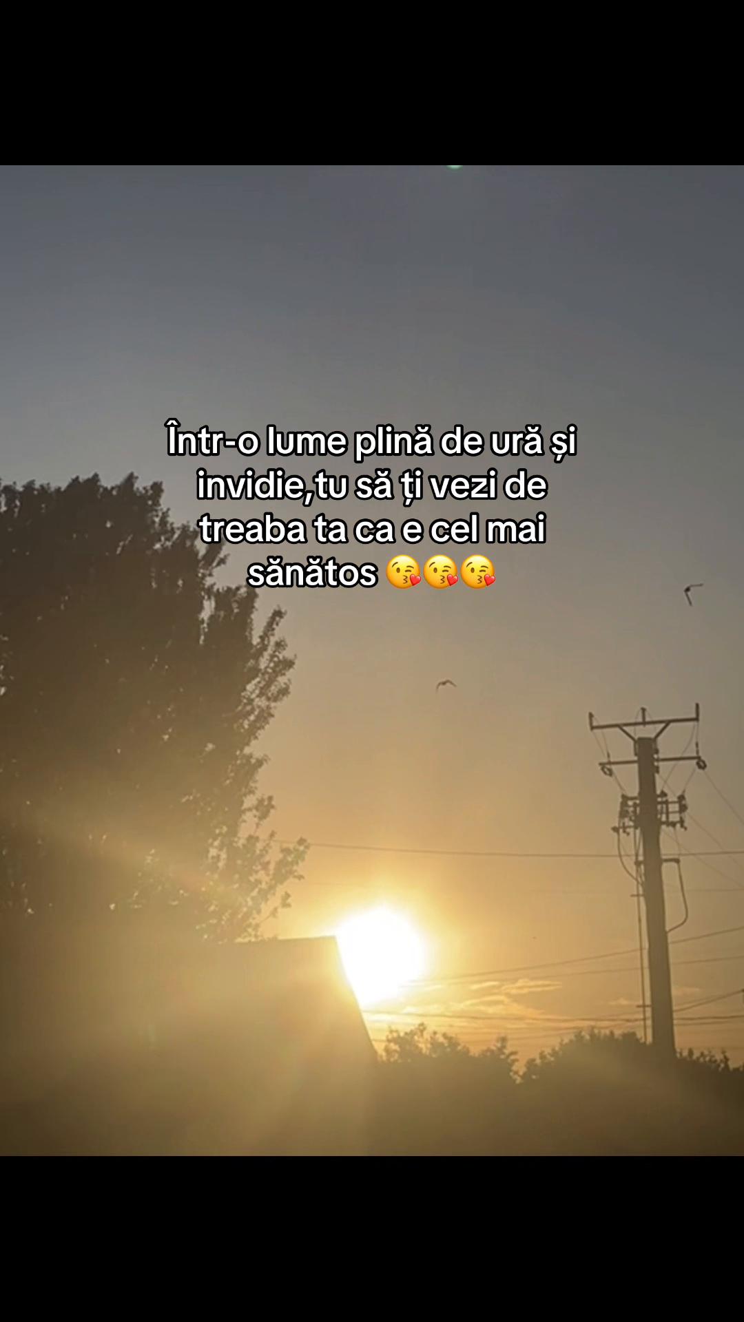 @lauricaa🦅