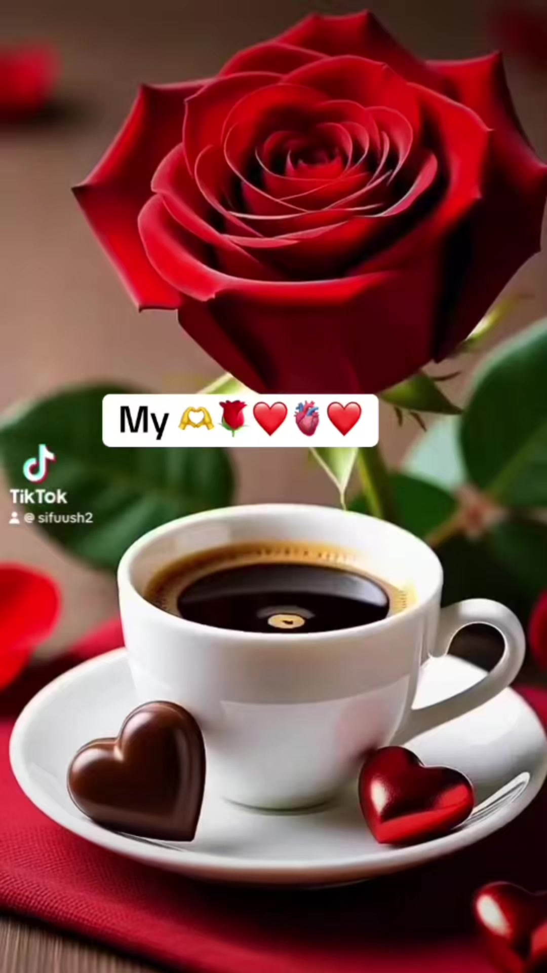 @UMMUU QERROo🐅👈