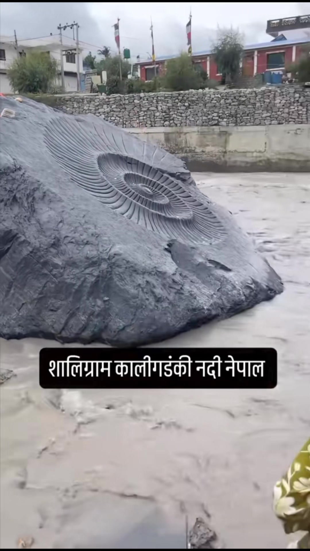 @URMILA BHATTARAI 🇳🇵🇳🇵