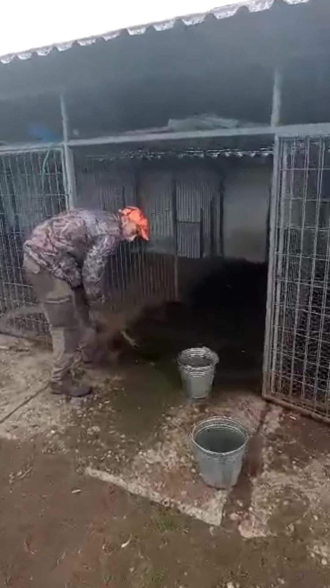 @Süni🦔