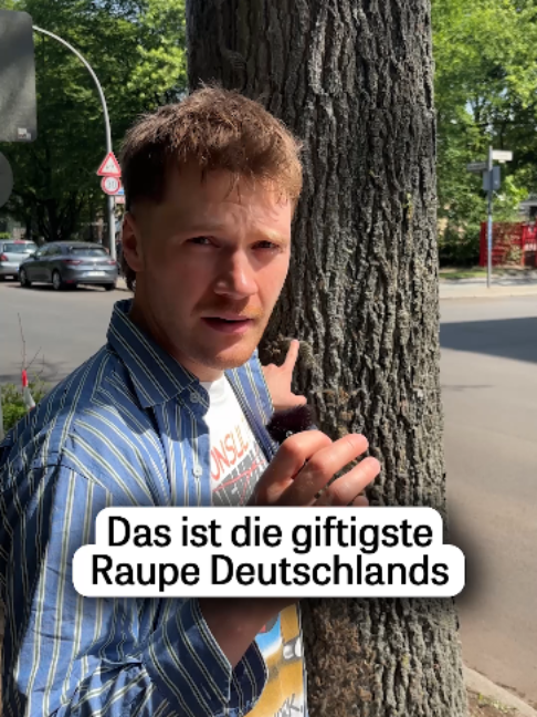 @DIE ZEIT