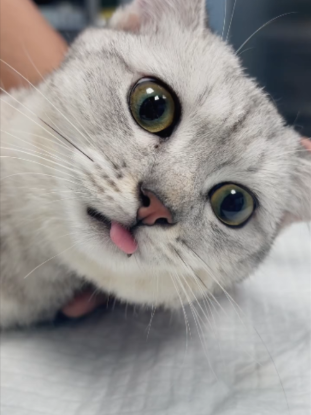 @Vitamin Meoww