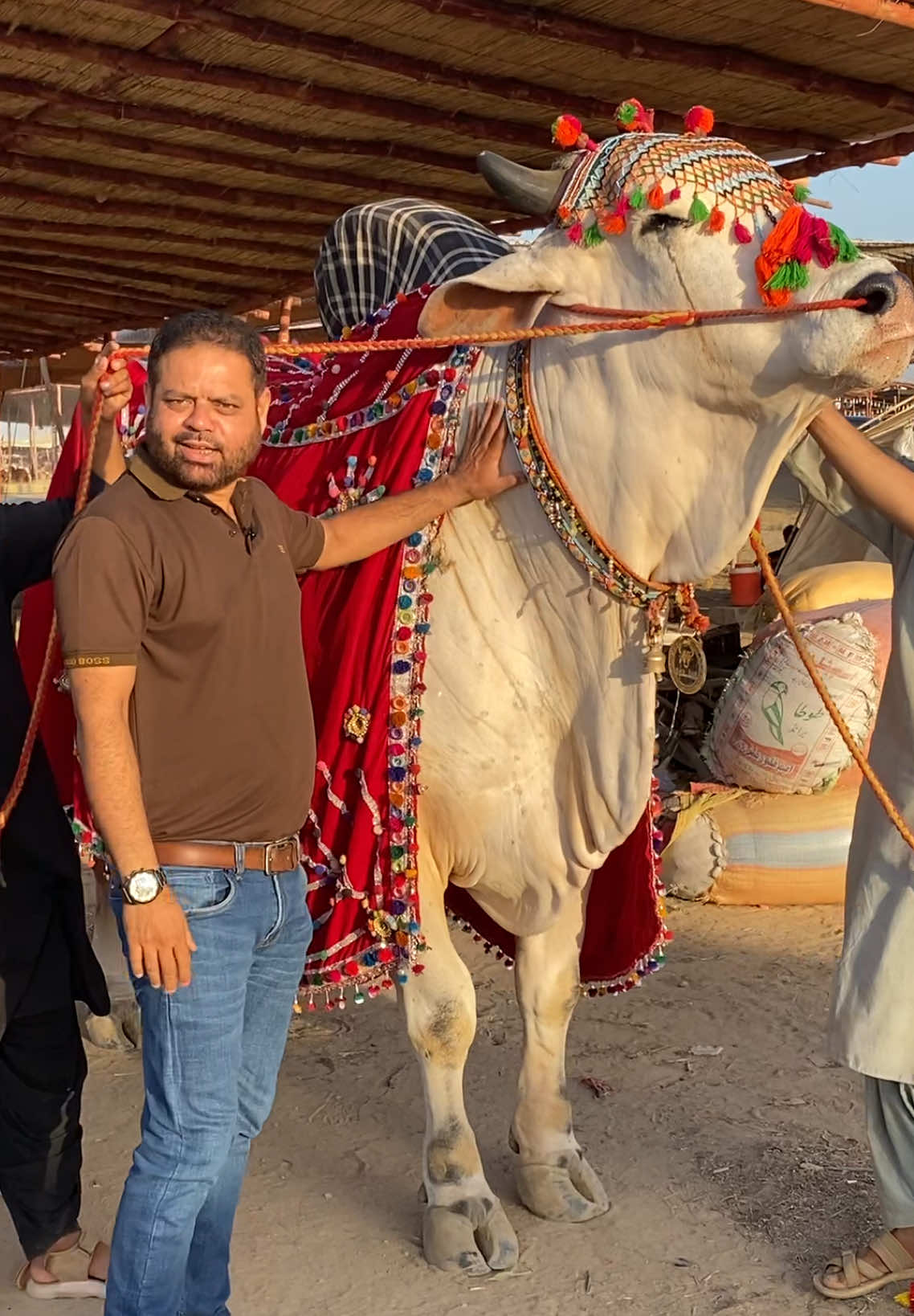 @Karachi Bull lovers