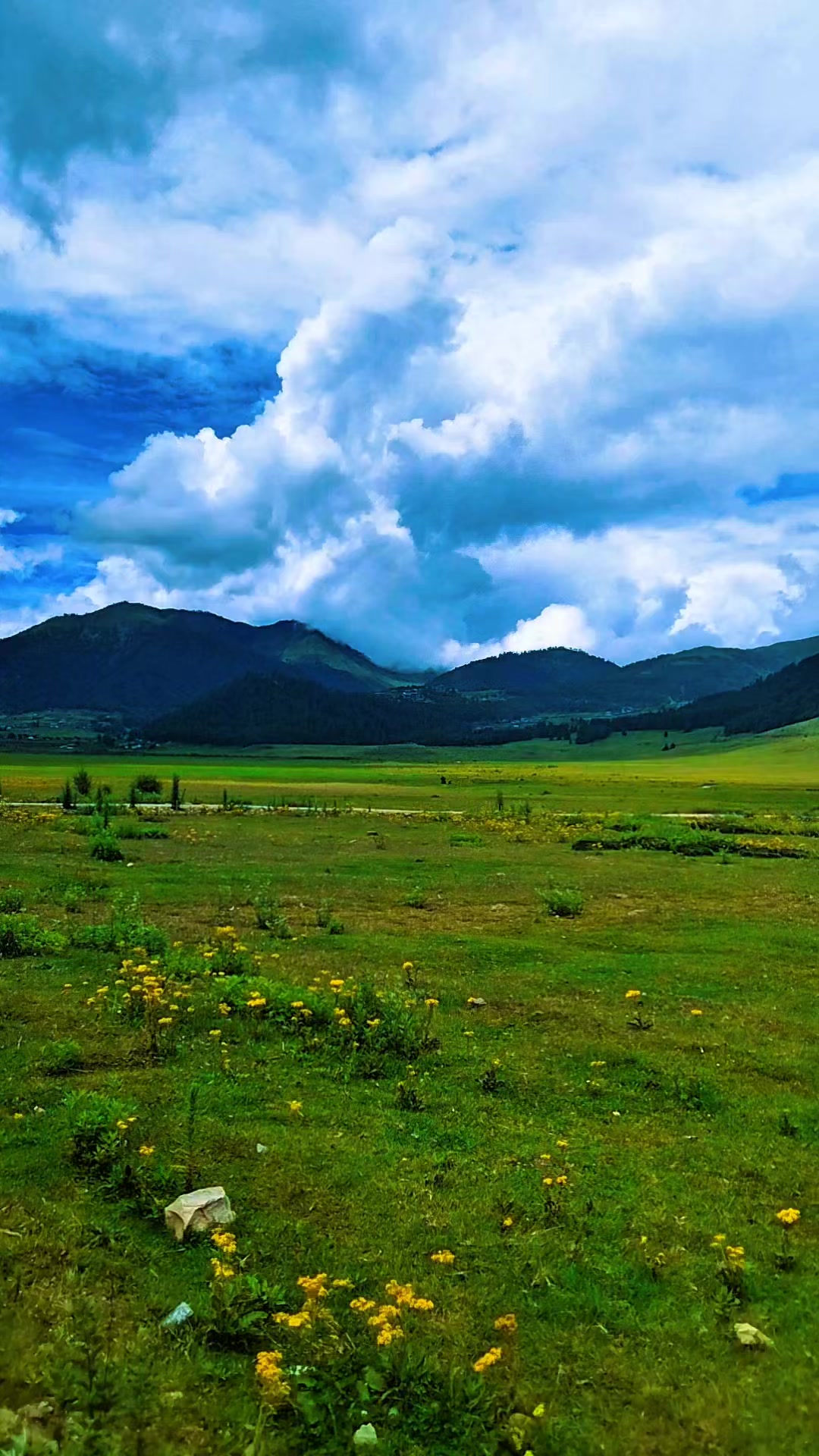 @Solo Season-@🇧🇹