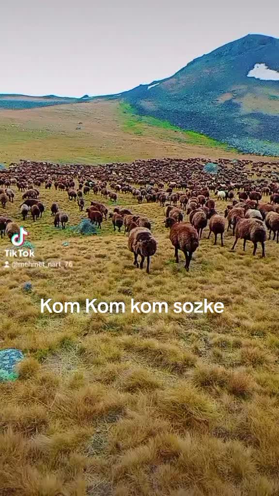 @🦅Koçero 🦅7676