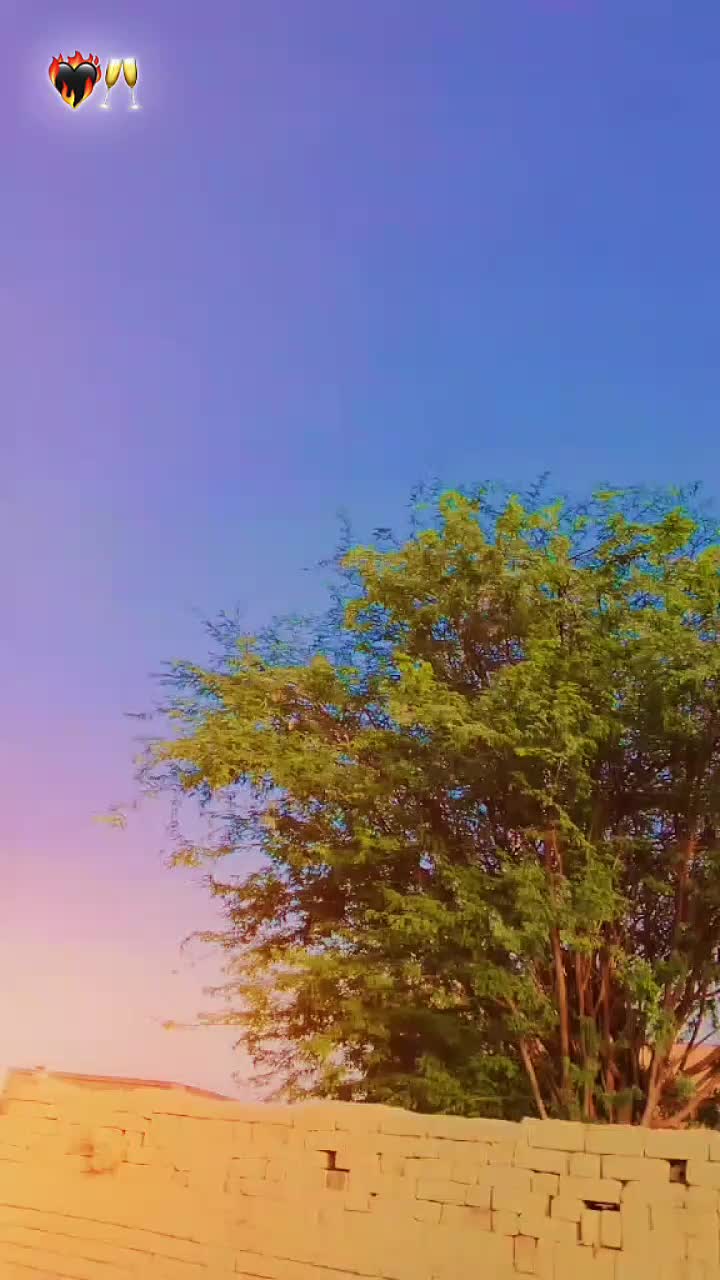 @muqadassamundriqueen♥️