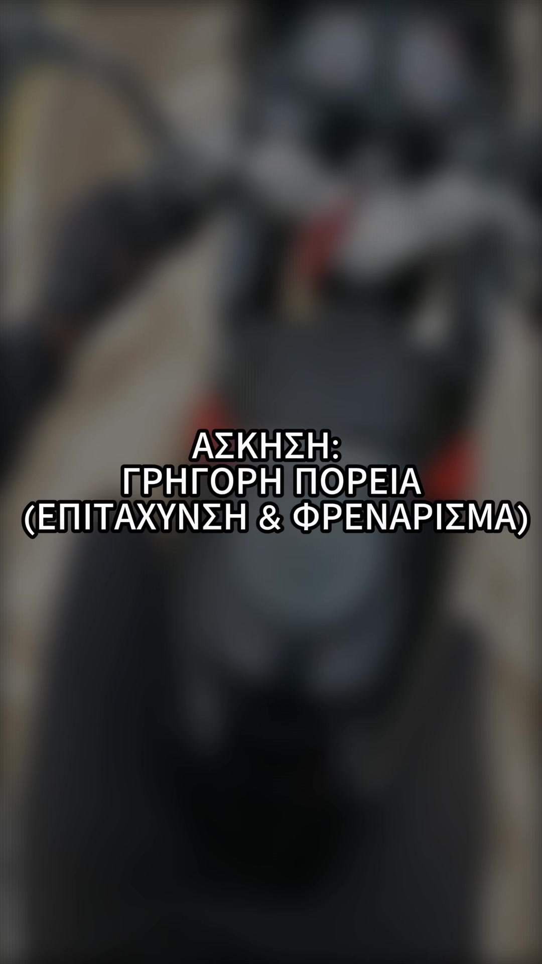 @Καραβαγγέλης | Σχολή Οδηγών