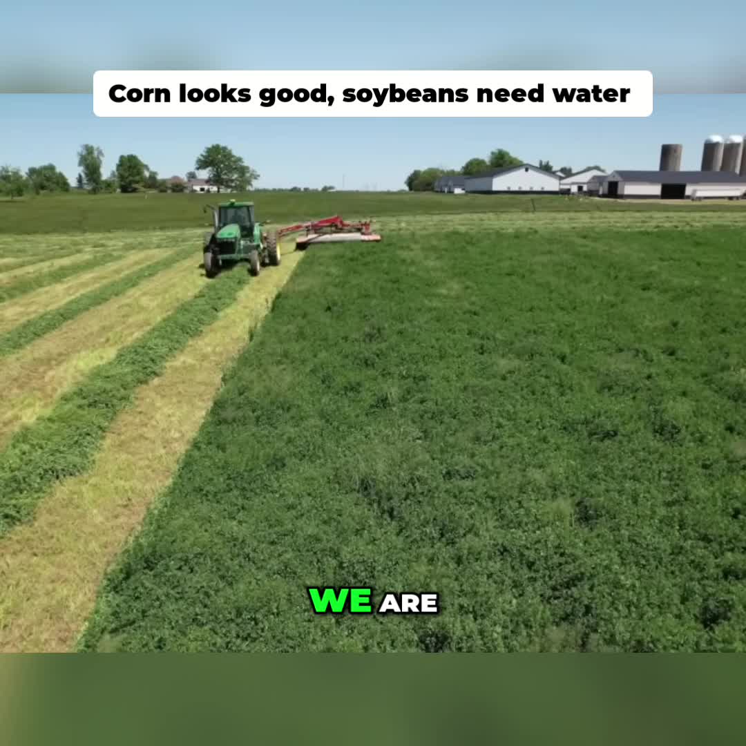 @Kip Siegler Farming