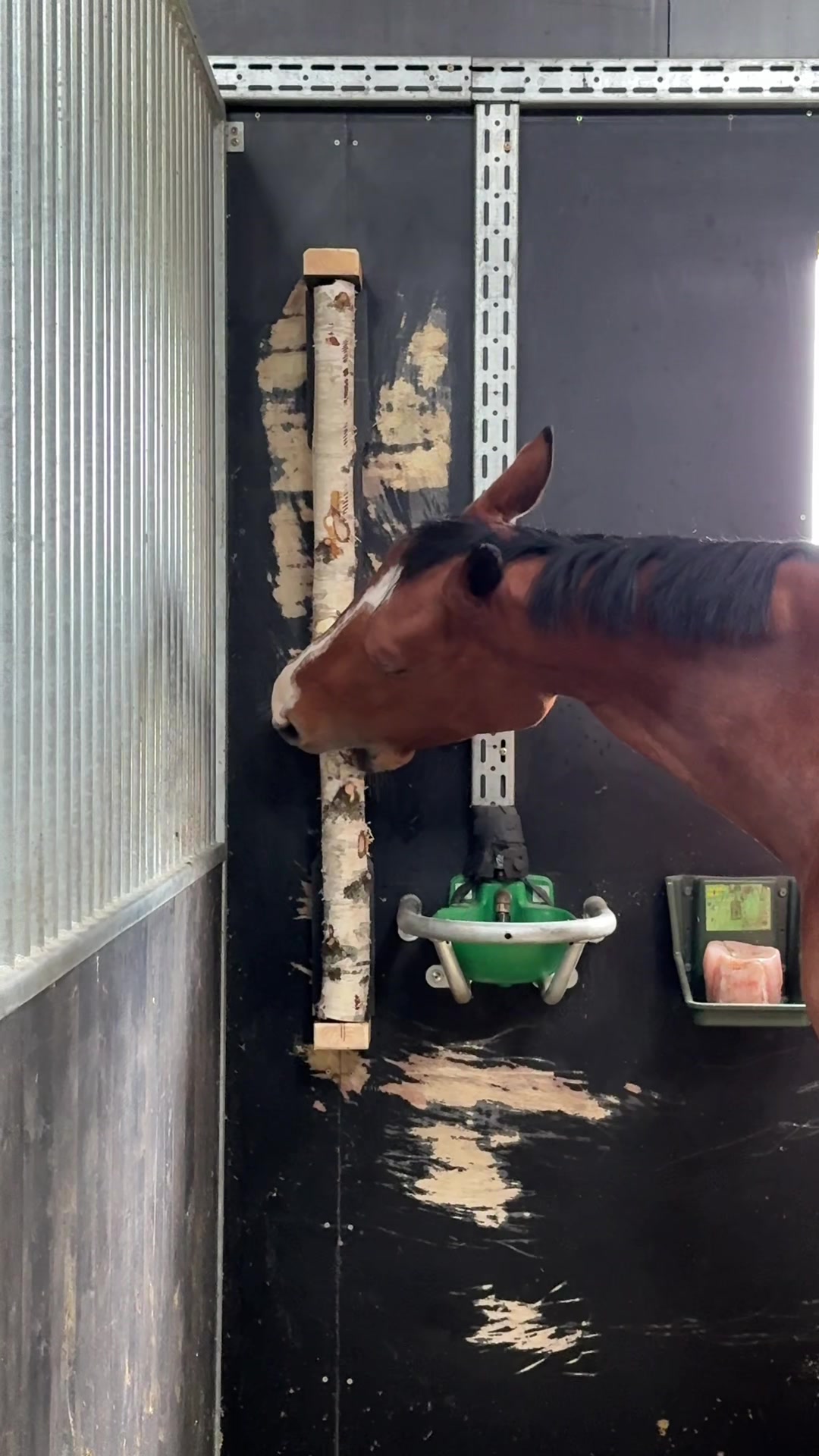 @🚀VIP Rider Academy🐴