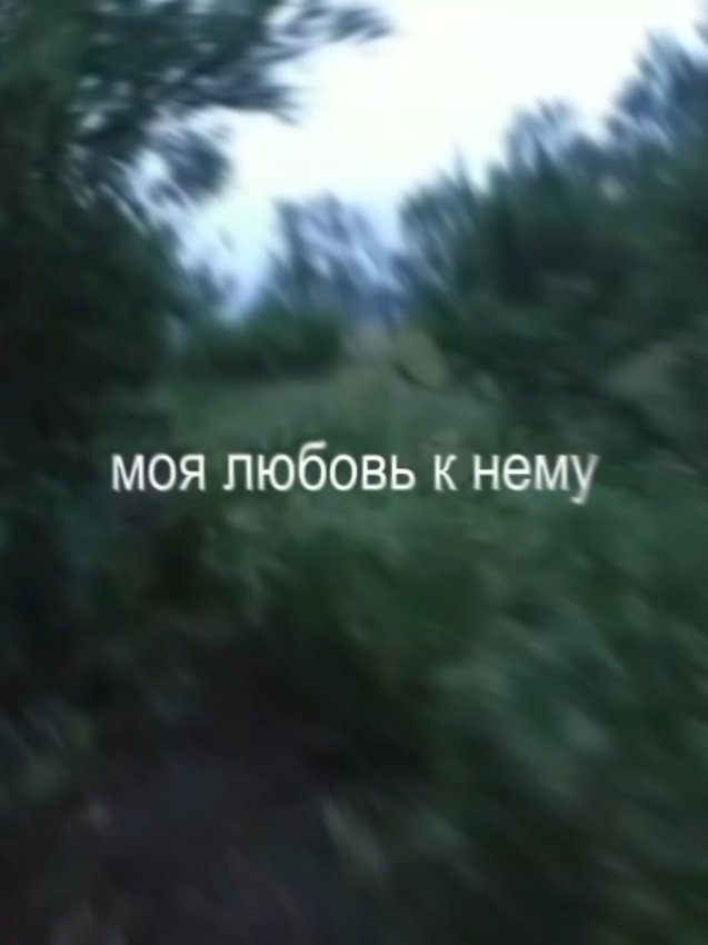 @mertvaya.