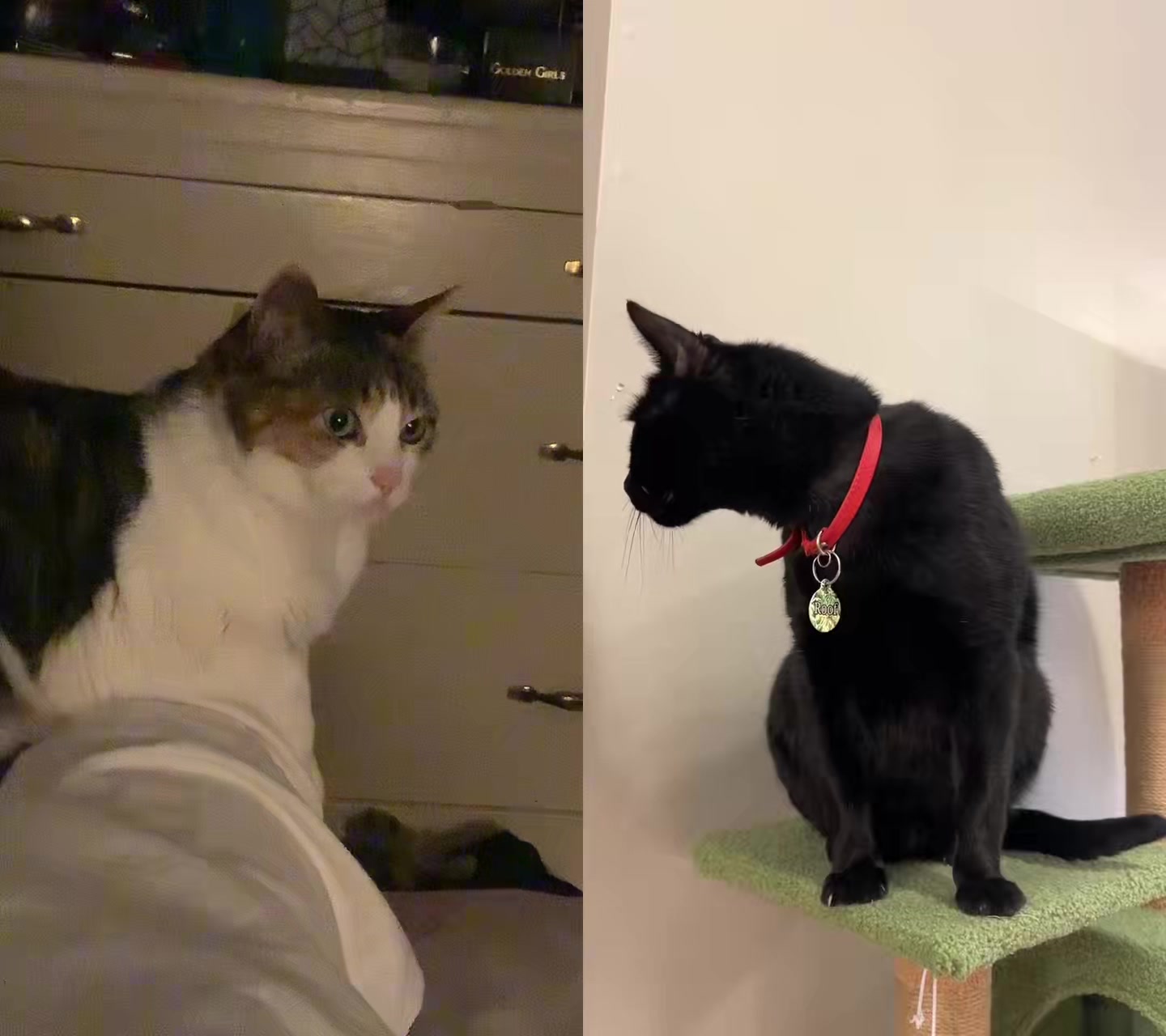 @🐛🦋BertaflyE🦋🐛
