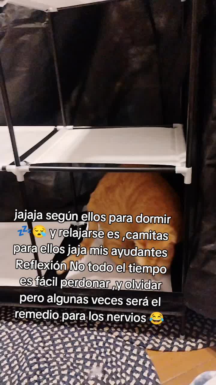 @martita