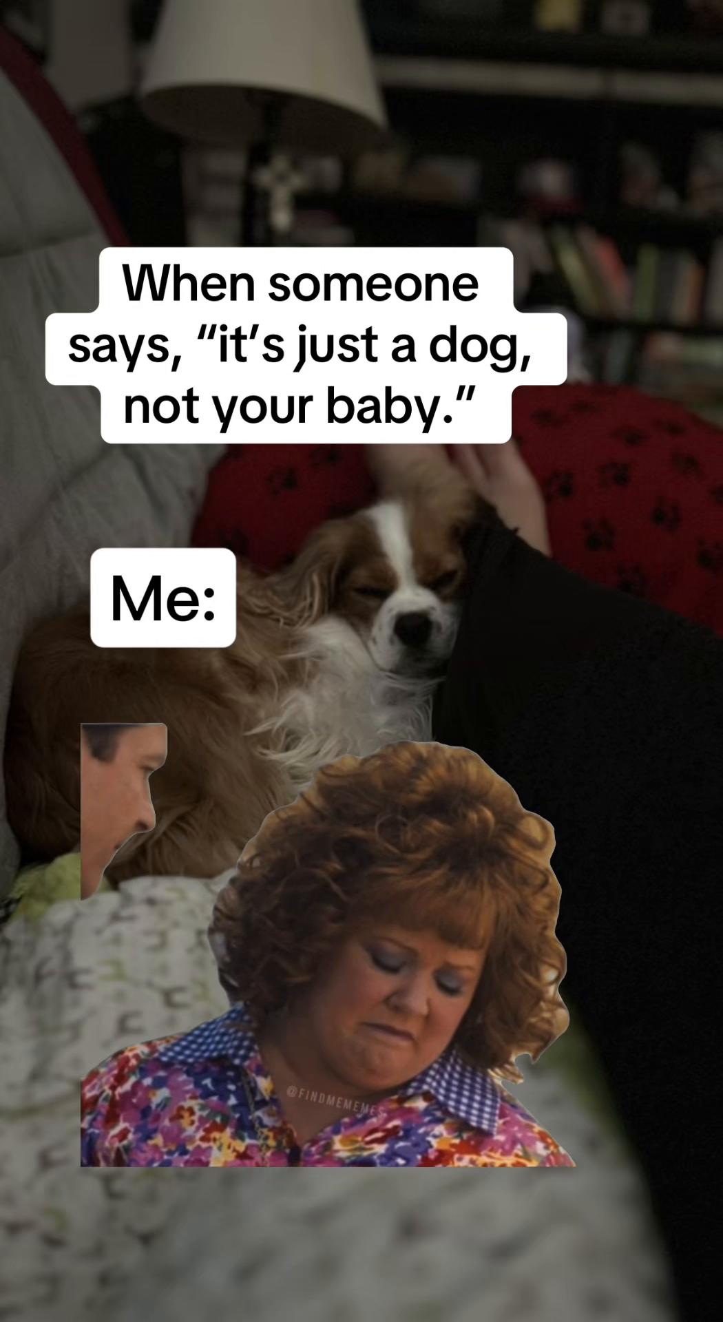 @Daisy’s Mom