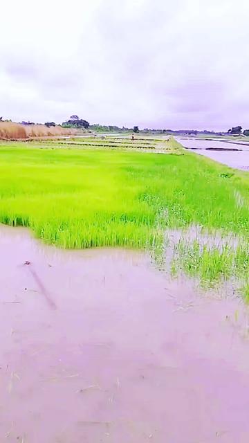 @kanxo tharu