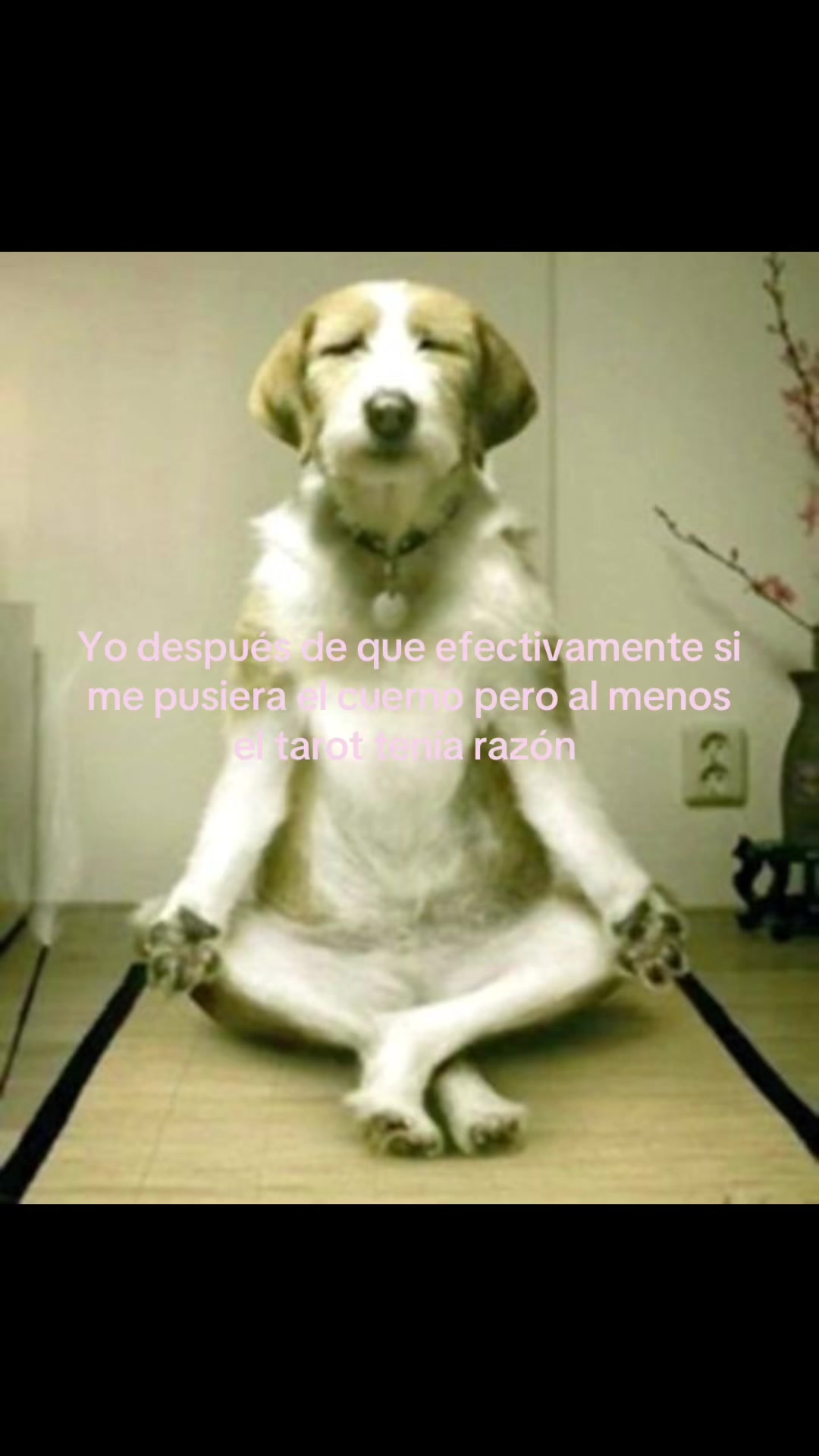 @Selenemirror