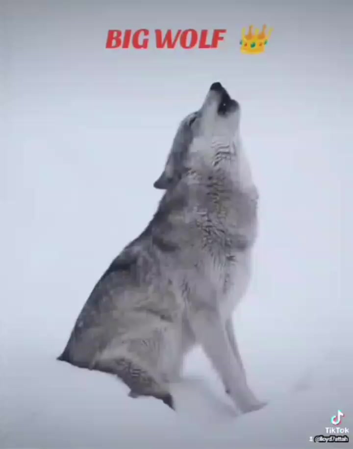 @Lloyd 7 Attah (Sonofogakwuone)