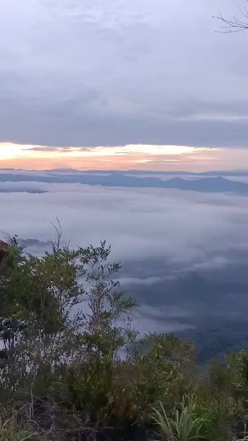 @jijo78