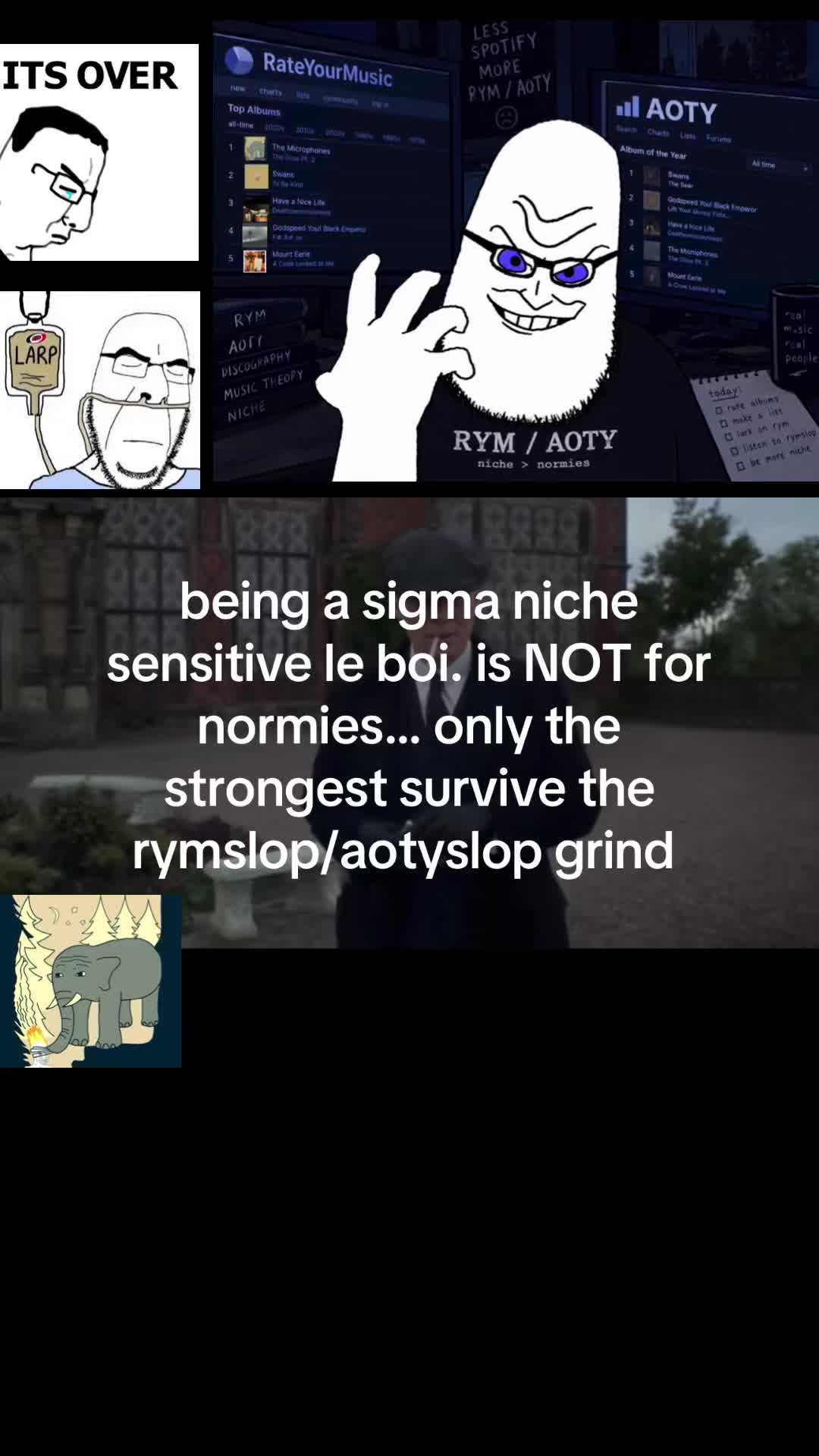@ant rym/aoty
