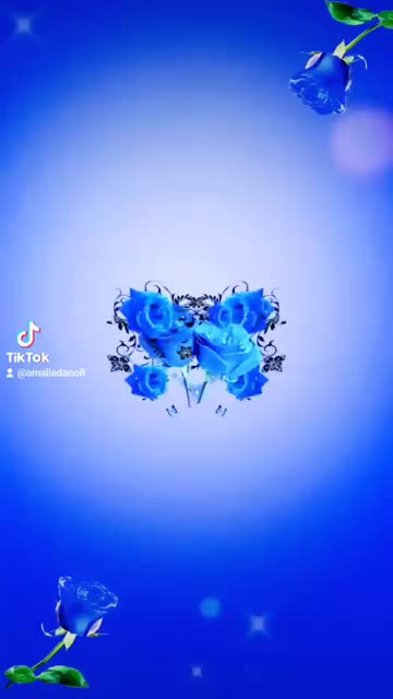 @Amalia Dano ♥️🌹☀️
