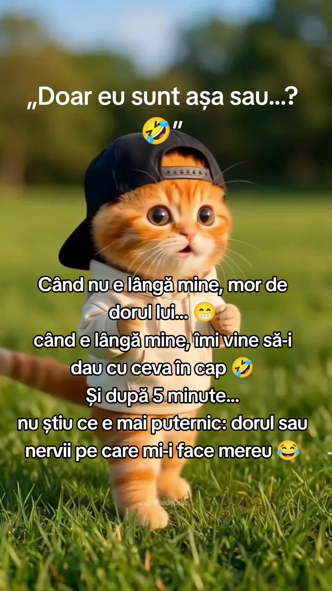 @iulia