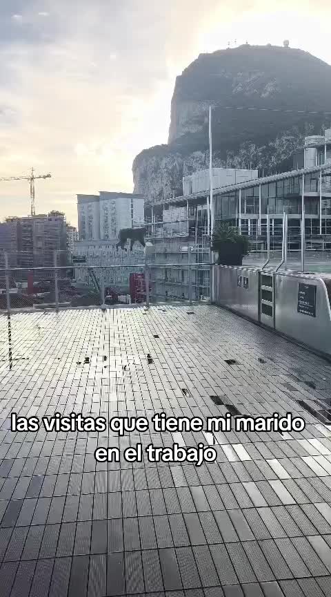 @Aranel Thewitch