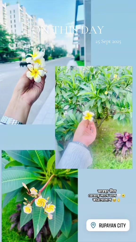 @Miss Rahaman 🦋