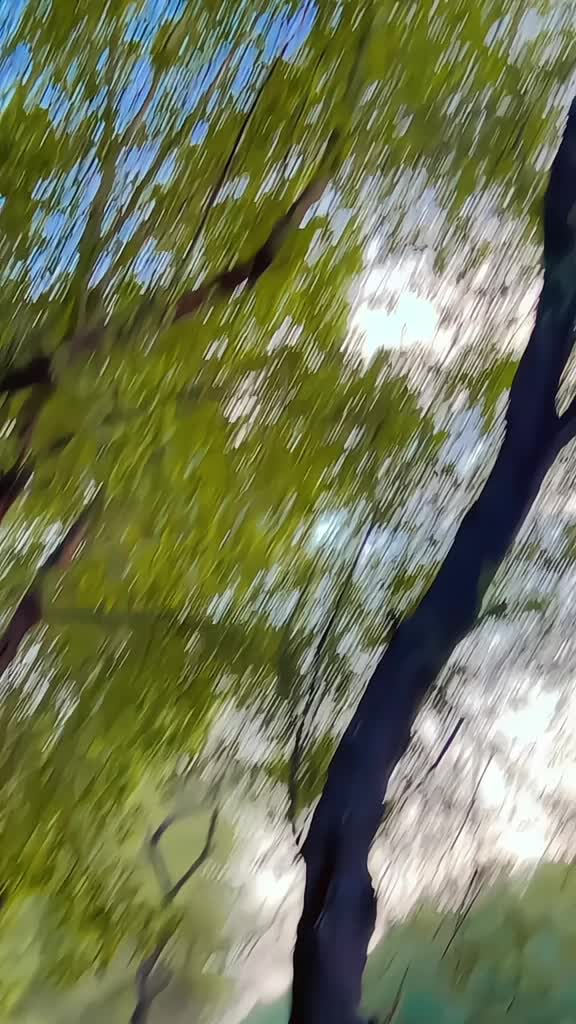 @༄●⃝𝓚𝓲𝓵𝓵𝓮𝓻☯𝓺𝓾𝓮𝓮𝓷࿐
