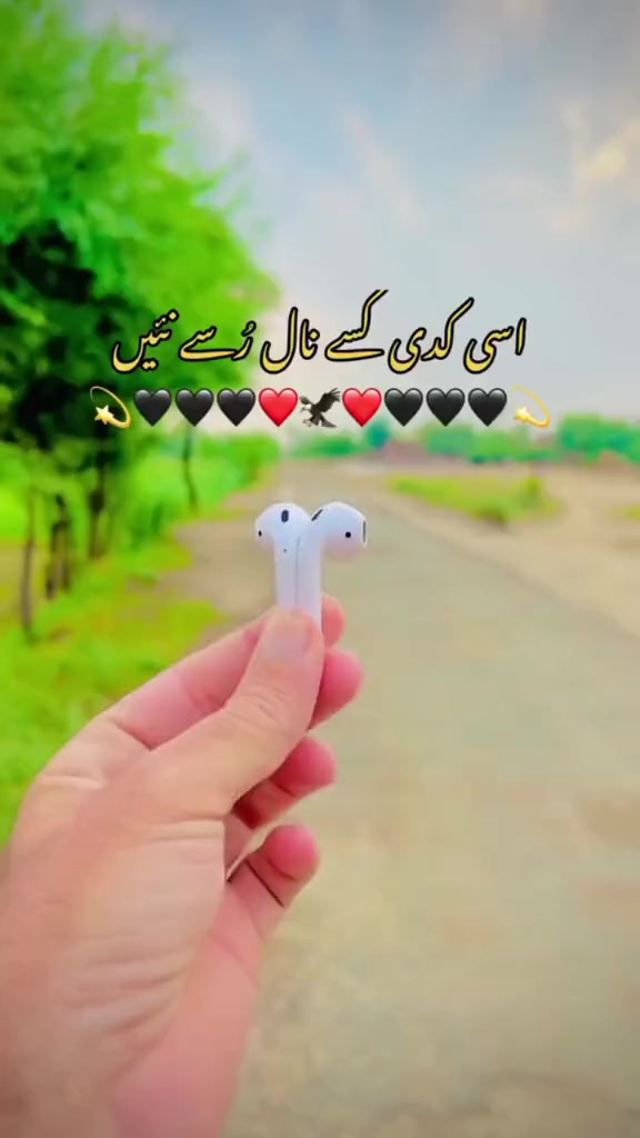 @toussef jani
