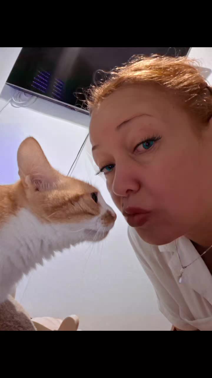 @Happy Cat