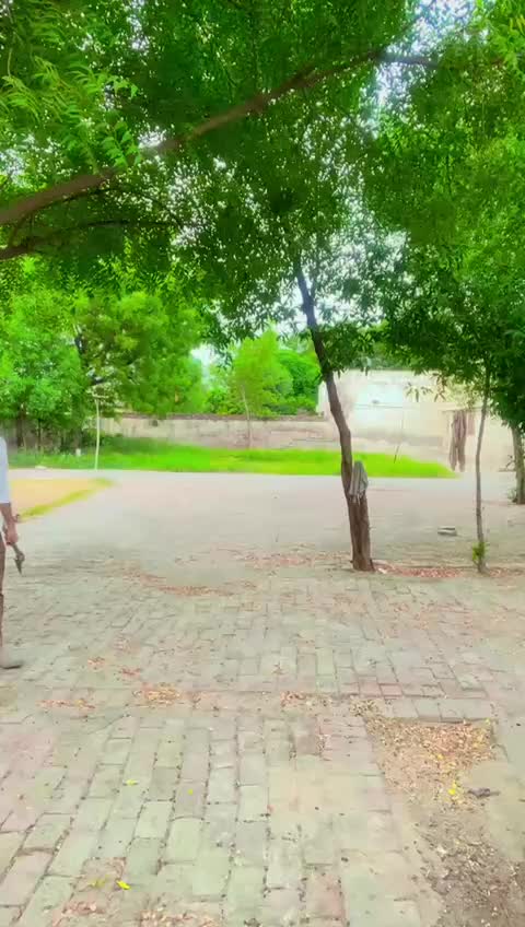 @salmansahth