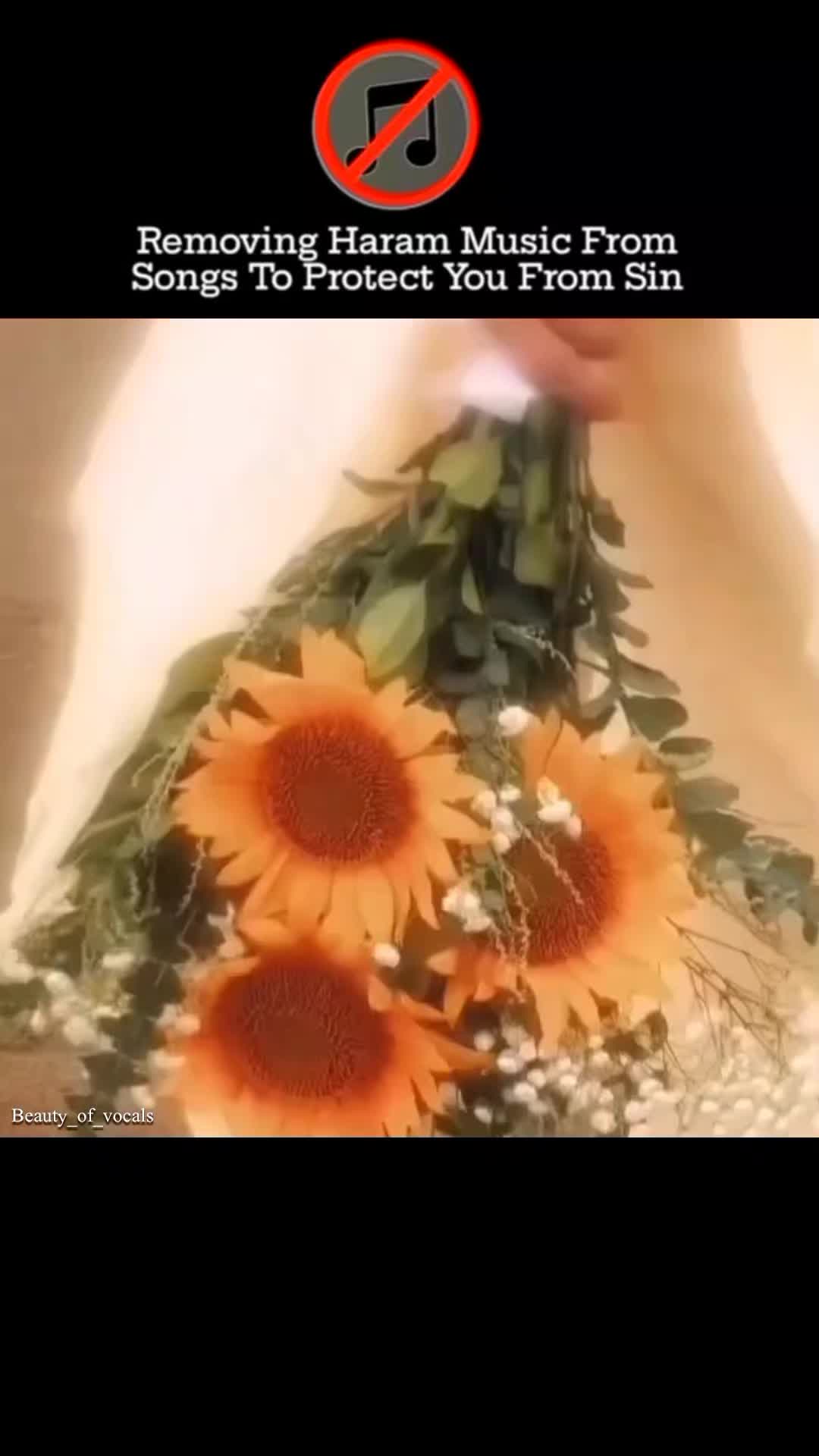 @𝐁𝐞𝐚𝐮𝐭𝐲_𝐨𝐟_𝐕𝐨𝐜𝐚𝐥𝐬