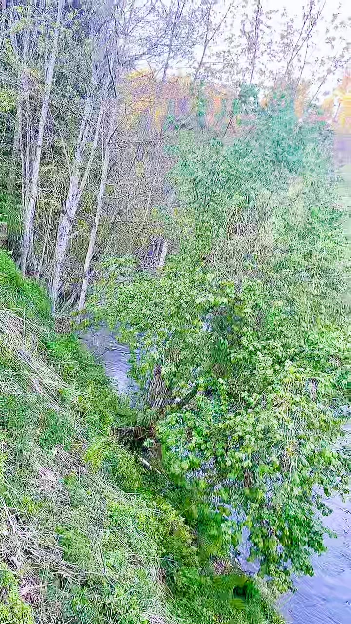 @Zaxoli