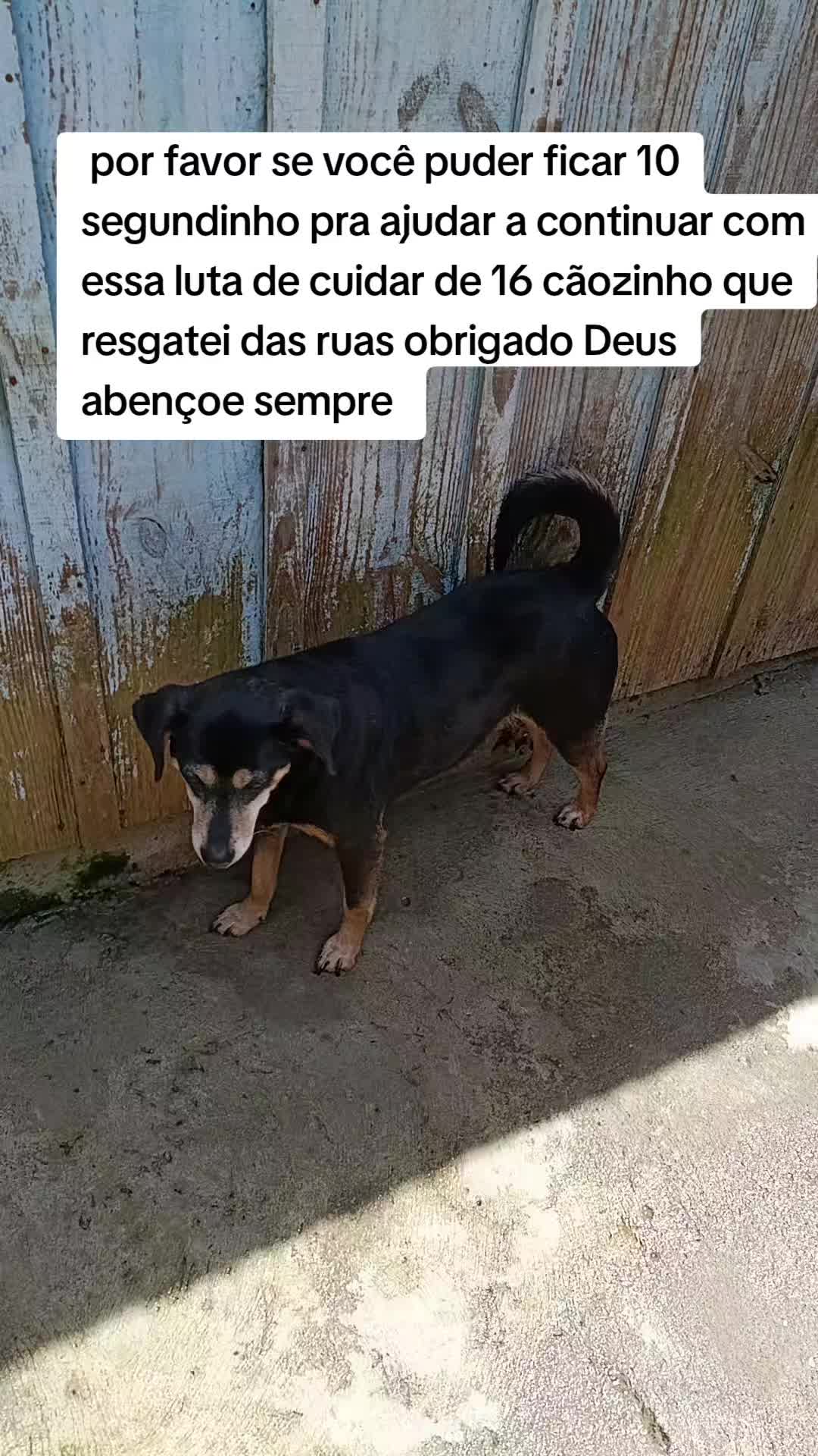 @Benedito Vanderlei cavalheiro