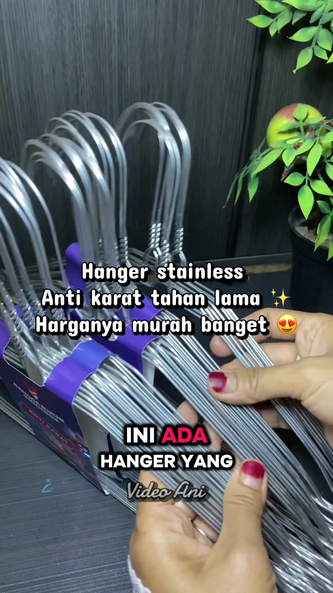 @Ani