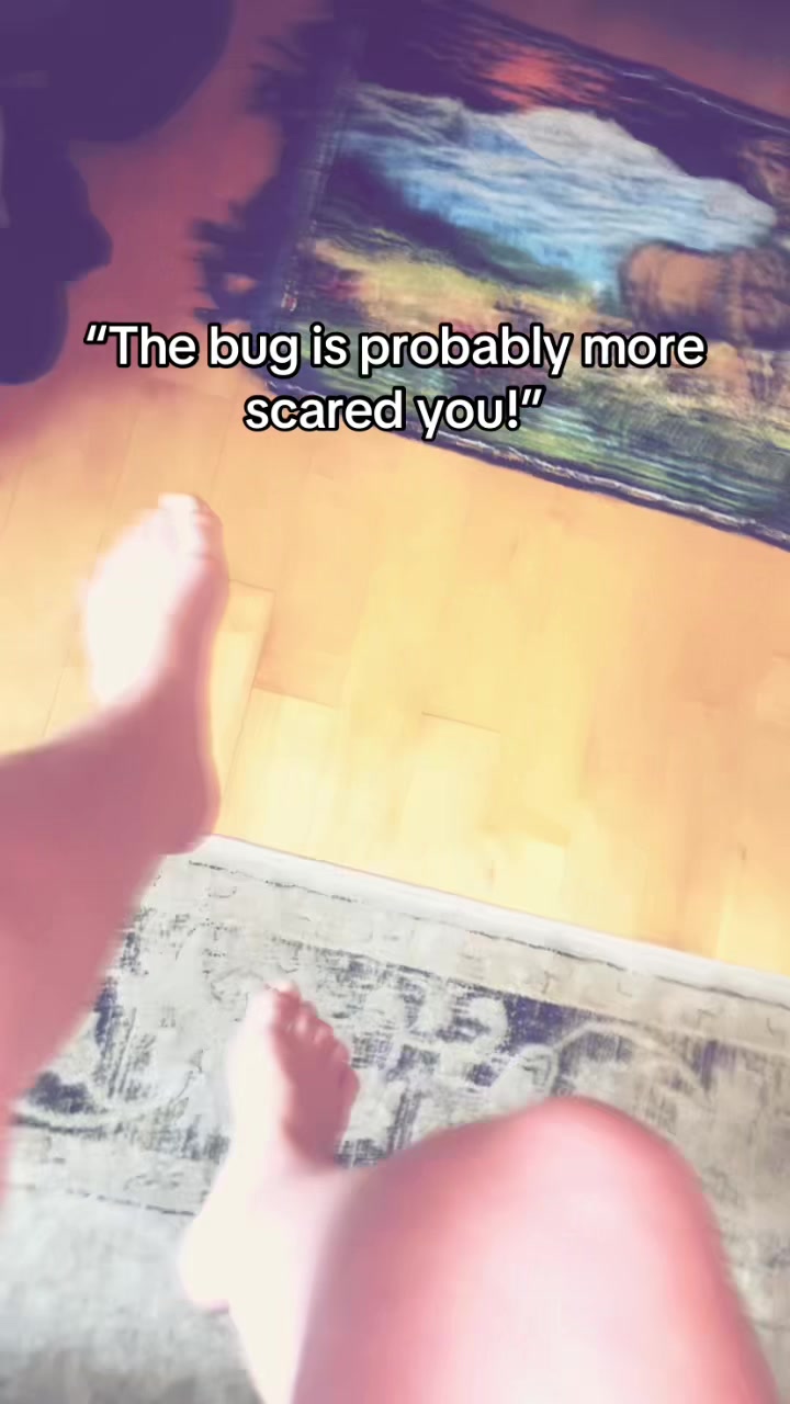 @elanorarainbowfairy