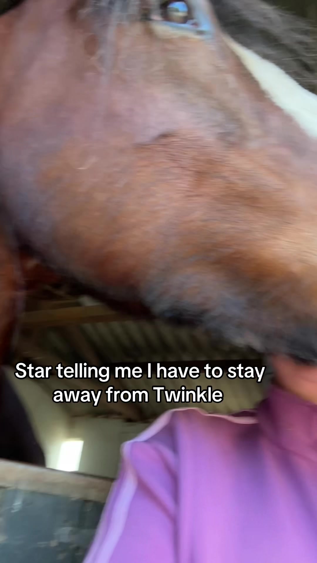 @Star, Twinkle, Alfie, Paris💫✨