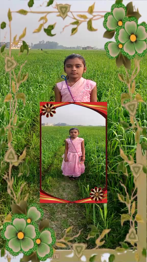 @🌸🌸Mr. Dhawal🌸🌸