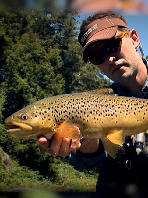 @Fishing TV